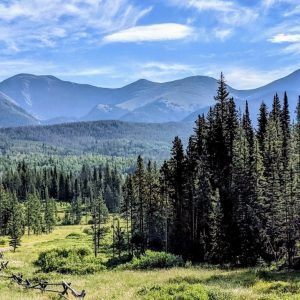 Distinguished Lecture in Environmental Ethics | Caring about Nature: Necessary Responses to Our Climate Crisis with Chris Cuomo