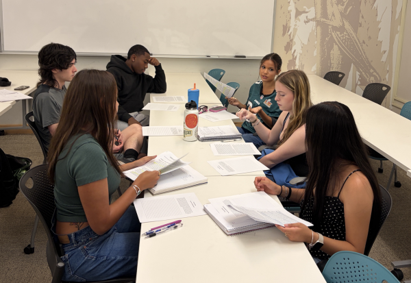 student collaboration